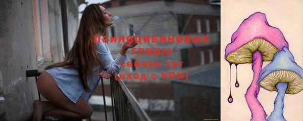 дживик Аркадак