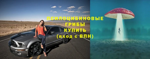 дживик Аркадак