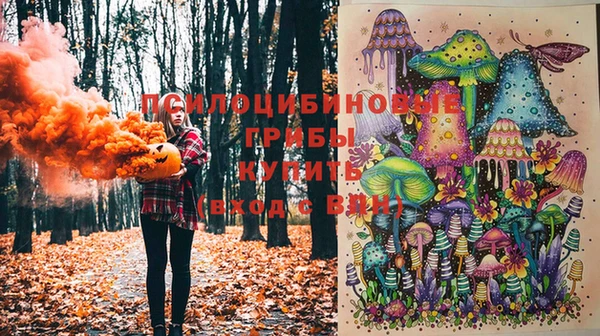 дживик Аркадак